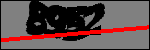متن برای شناسایی